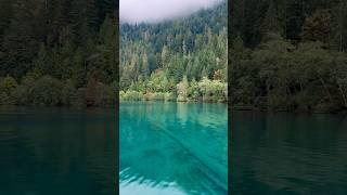 Lake Crescent   Washington - ️ Best Things to do in Olympic National Park | Travel Guide