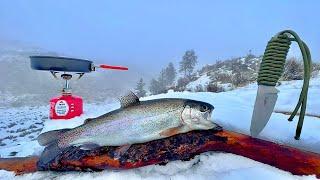 SOLO Ice Fishing for Trout!!! (Catch & Cook)