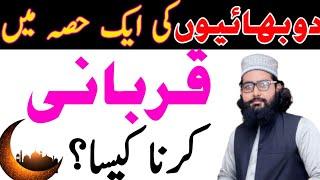 2 bhaion ka ekthey qurbani krna Kaisa hai || do Bhaion ki qurbani || دو بھائیوں کی اکٹھے قربانی کرنا