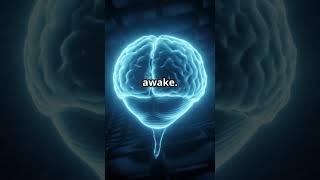 Unlocking the Secrets of Dreams: What Your Brain Is Secretly Trying To Tell You