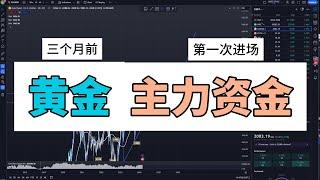 黄金名场面，主力资金才是价格上涨的唯一动力