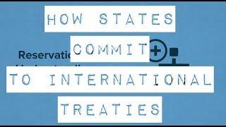 How states commit to Human Rights Treaties
