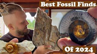 My best fossils finds of 2024!