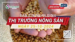  Nhận định thị trường nông sản ngày 25/10/2024