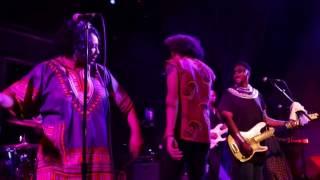 The Brandon Brown Collective - "What You On"