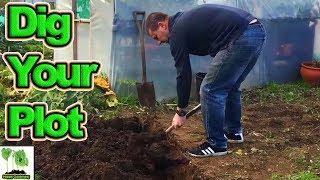 How To Dig Your Allotment