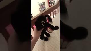 Please help me get to 1k subs  #plushies#memes #sad