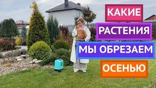 НЕ ОШИБИТЕСЬ ПРИ ОСЕННЕЙ ОБРЕЗКЕ РАСТЕНИЙ!