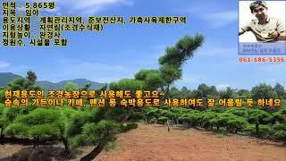 구례 아름다운 조경농장 임야  / 여수부동산읽어주는남자 오광석