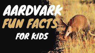  Aardvark Fun Facts for Kids: Unbelievable Discoveries Await! #kidsvideo #kids #kidslearning