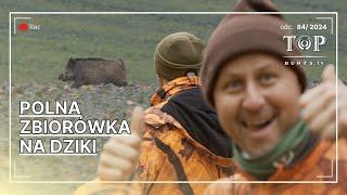 Polowanie zbiorowe na dziki i jelenie w obwodzie polnym. Wild boar driven hunt.