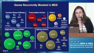 An Approach to Diagnosis and Staging of MDS: From Morphology to Genetics