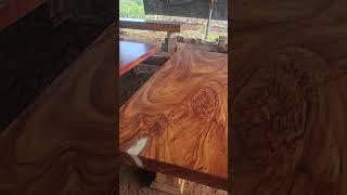 thousand year old mutant wood