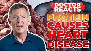 NEW STUDY Shows Protein Causes HEART DISEASE?! - Doctor Reacts