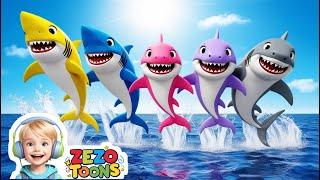 Baby Shark Fun Time| Meet the Shark Family|  Fun and Joy for Kids| Nursry Ryhmes Zezo Toons