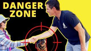 How to Fix a Dog's Aggressive Behavior Towards People - Intense & in-depth training session