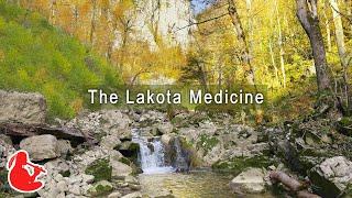 The Lakota Medicine - Relaxing Native American Flute Music | 24Relax