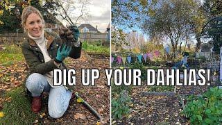 OVERWINTERING THE PLOT / ALLOTMENT GARDENING UK