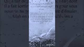 الَّذِي جَعَلَ لَكُمُ الْأَرْضَ فِرَاشًا وَالسَّمَاءَ بِنَاءً 