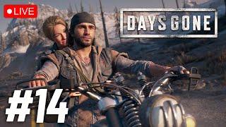 Days Gone - Can I Survive in Zombieland?   Live Stream #zombieland