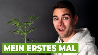 Cannabis Anbau ohne Erfahrung | Selbstexperiment