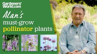 5 favourite plants for pollinators | Alan Titchmarsh