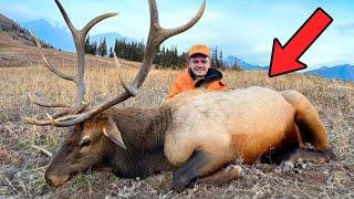 I Finally Killed My First Elk!