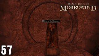 Mage's Guild Lab Rat | Morrowind | Tamriel Rebuilt | 57