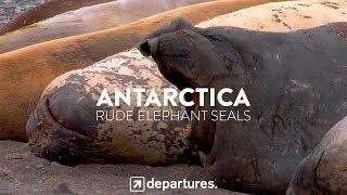 DEPARTURES | S2 E13 | ANTARCTICA | Rude Elephant Seals