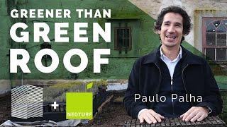 How we made the greenest green roof: Interview with Paulo Palha of Neoturf