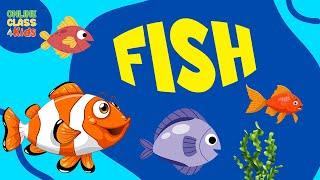 Fish | All About Fish | What is a Fish? | Educational Video | Science Lesson | OnlineClass4Kids