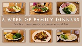 WEEK 17| FAMILY DINNERS OF THE WEEK | family of seven evening meal ideas, meal plan