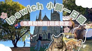 布里斯本免費動物園就在Ipswich小鎮！打卡歷史悠久的超美教堂！