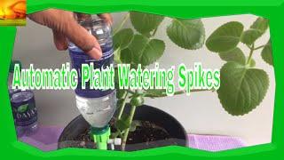 How to watering a plant when on vacation | Automatic Plant Watering Spikes | Watering plants