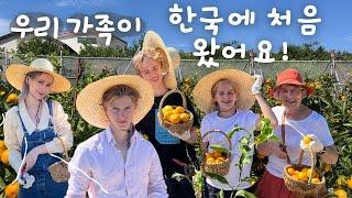 [VLOG] #한국여행 노르웨이 가족이 한국에 처음 왔어요!!ㅣMy family visits me in Korea ️