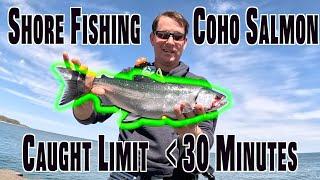 How to Catch Coho Salmon Limit in 30 minutes! Shore Fishing Lake Michigan | Milwaukee Harbor