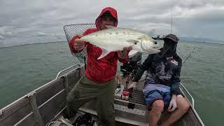 Harbour Madness: Chasing Queenfish in Tropical Darwin