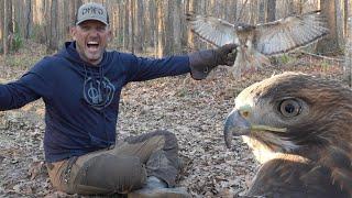 Hunting With WILD HAWKS! {Catch Clean Cook} Alabama Hawking