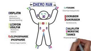 Side effects of cancer drugs | chemotherapy| chemotherapeutic drugs side effects | Chemo man.