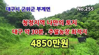 No.255 대구시 군위군 부계면 소형토지 매매. 대구에서 30분거리. 건축가능. 주말농장. 군위땅 군위토지 군위땅매매 군위토지매매 부계면땅 부계면토지