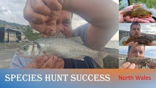 North Wales Sea fishing 5 different venues!