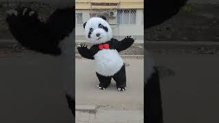 Танцующая  Панда