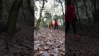 Day in my life Mini Vlog - Quantum Walk 12.01.23