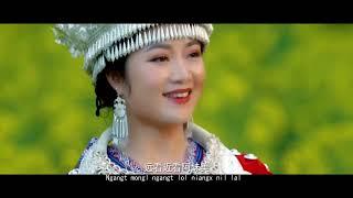 [MV]: Yang Xiao Qian 杨小倩 - Cicada's Sound On The Sweetgum Tree 枫香树上的蝉儿声 (Hmu Language)~October 2023~