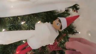 DON'T LET THE ELF ON THE SHELF DECORATE  YOUR TREE