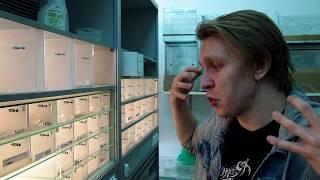 Обзор НОВОГОДНЕЙ поставки животных! Новые питомцы в канун Нового Года.