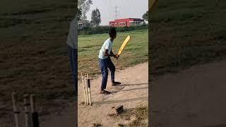 cricket shorts 