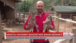 ANTALYA HAYVANAT BAHÇESİ’NDE BAHAR BEREKETİ