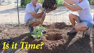 Is it Time to Plant Already? + Q&A  | The Desert Farmer Podcast -  Episode 47