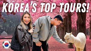 The Best Tours in South Korea! (3 tours in one day)